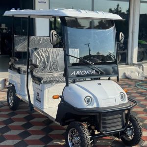 ARORA POLO PLUS 4 TEKERLİ 4 KİŞİLİK ELEKTRİKLİ MOTOR